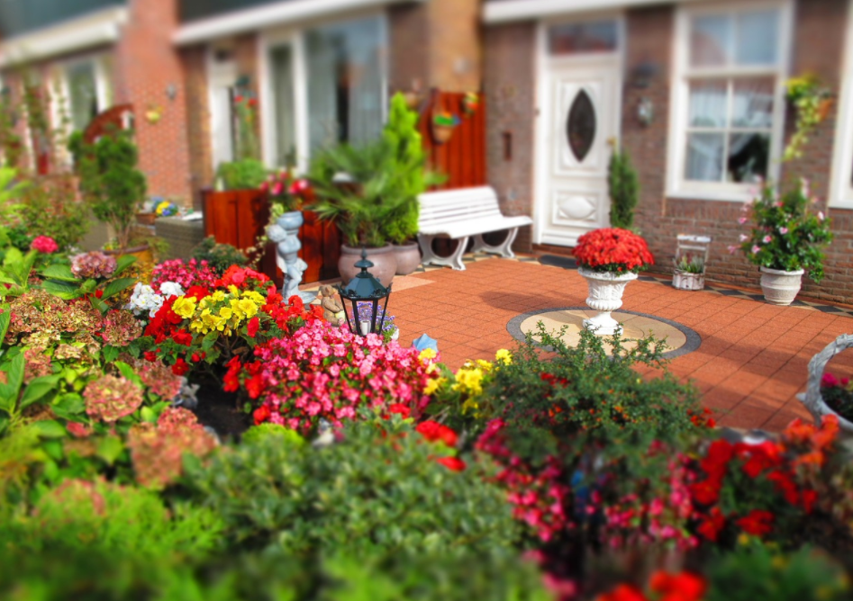 Garden with house 3